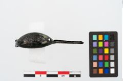 Foto von Bronzekahnfibel (NHMW-PRAE-025534)